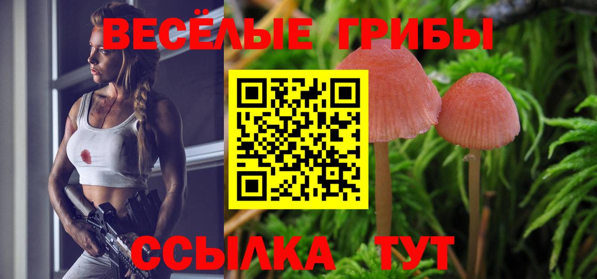 Псилоцибиновые грибы мухоморы Карпинск